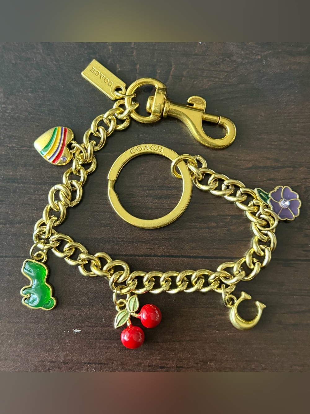 COACH Motif Chain Bag Charm (Style CN119)